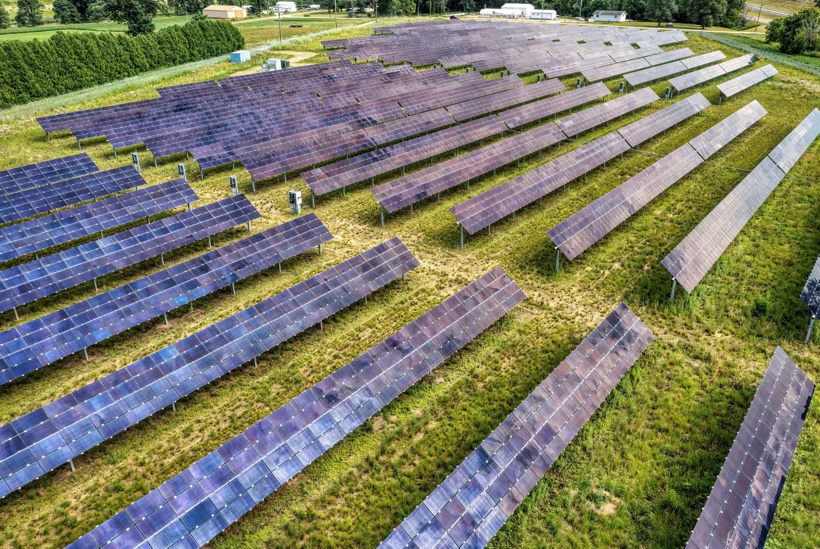 Rows of ground-mounted solar panels beside green farmland